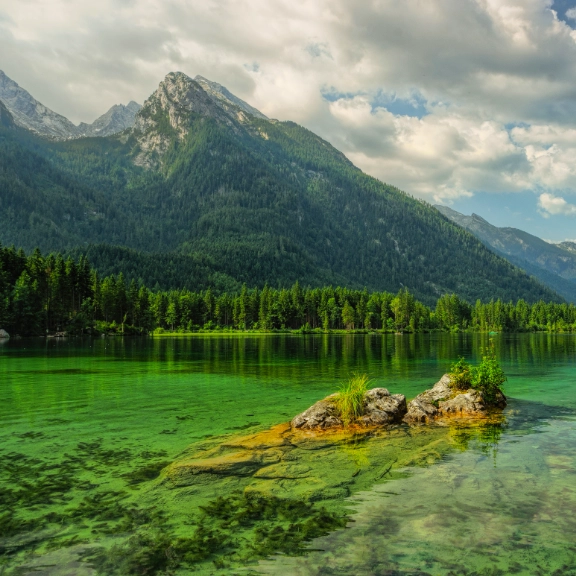Water Bodies